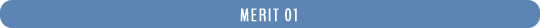 MERIT 01