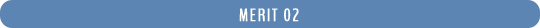 MERIT 02